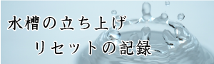 水槽の立ち上げリセットの記録