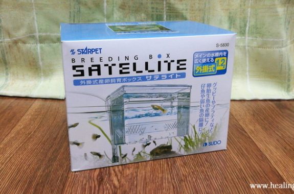 グッピー　10✖️2 NO.2 51U19C4fjqL._UF894,1000_QL80_.jpg