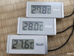 テトラ水温計WD-1水中に入れ温度が下がった時