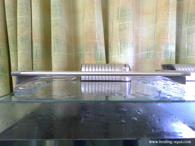 コトブキ工芸フラット（FLAT）LED300水槽正面からの写真